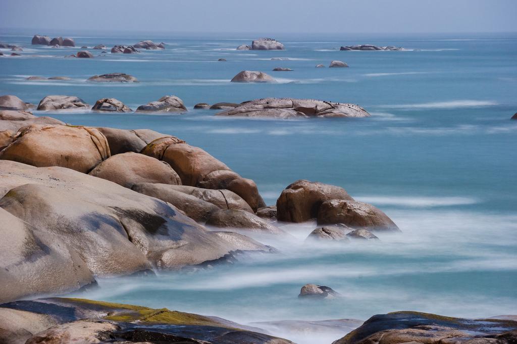 The Oystercatchers Haven At Paternoster Exteriör bild